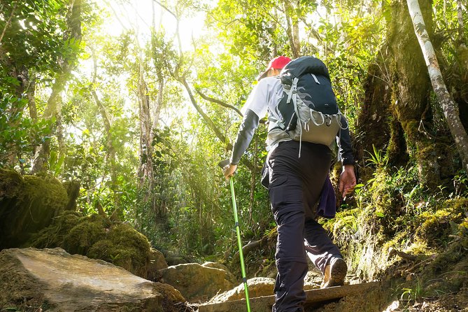 Templer Park and Kanching Waterfall Tour with Batu Caves Stopover - Price and value: what $56.38 gets you (and what it doesn’t)