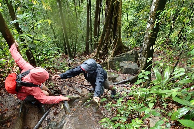 Templer Park and Kanching Waterfall Tour with Batu Caves Stopover - Who this private tour suits best (and who might want a different plan)
